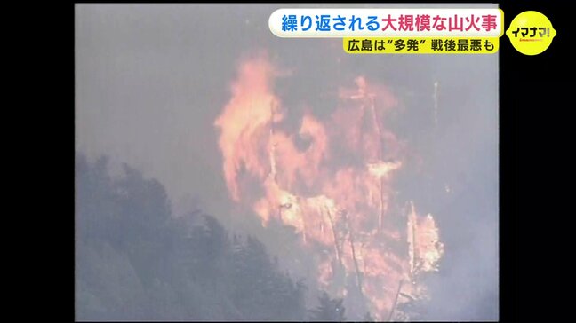 “戦後最悪”といわれる火災も消防士18人が殉職 広島で繰り返される大規模な山火事 瀬戸内海沿岸部は国内でも“多発”地域|TBS NEWS DIG