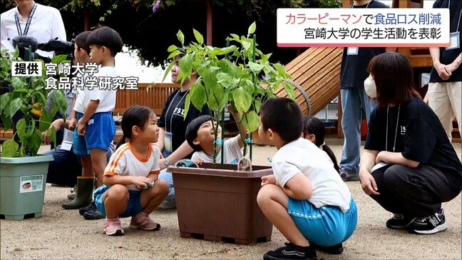 カラーピーマンを活用して食品ロス削減へ 宮崎大学の学生たちの取り組みが農林水産省から表彰|TBS NEWS DIG