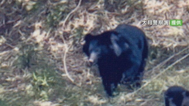 親子か　クマ3頭が出没　きのうも目撃情報　付近に住宅や中学校　パトカーが巡回し警戒　山梨・大月市|TBS NEWS DIG