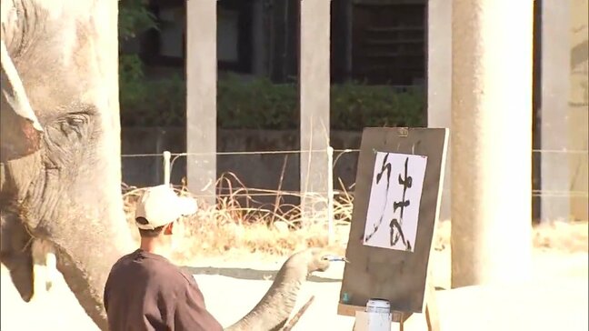 「うま」と「午」アジアゾウのみどり　新春の書き初め　宮崎市フェニックス自然動物園|TBS NEWS DIG