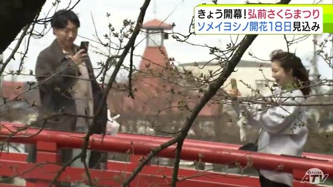 「弘前さくらまつり」が開幕！　開花宣言とはならずとも…園内は“桜色”　祭りを楽しむ人々　青森県弘前市|TBS NEWS DIG