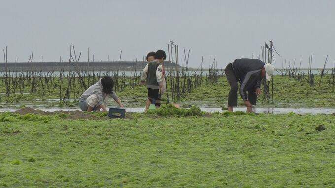 旧暦3月3日　各地の海岸で沖縄の伝統行事「浜下り」　無病息災や家内安全など祈願|TBS NEWS DIG