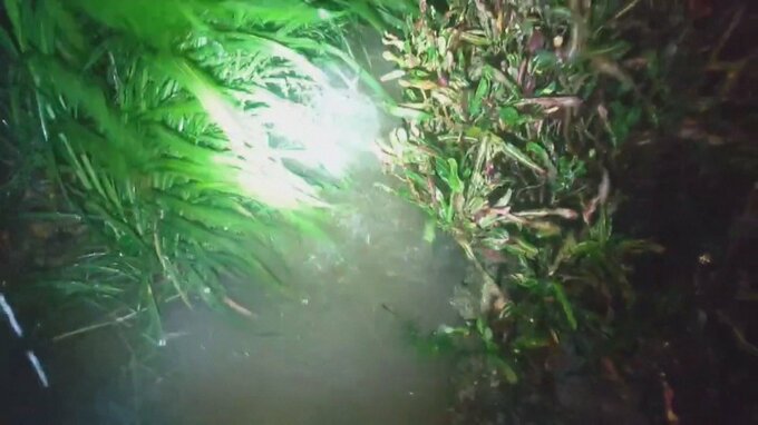 11月に季節外れの途方もない大雨　すでに月降水量が過去最多の約1.7倍に　通年の月降水量でも上から4番目の多さに　鹿児島・与論町|TBS NEWS DIG