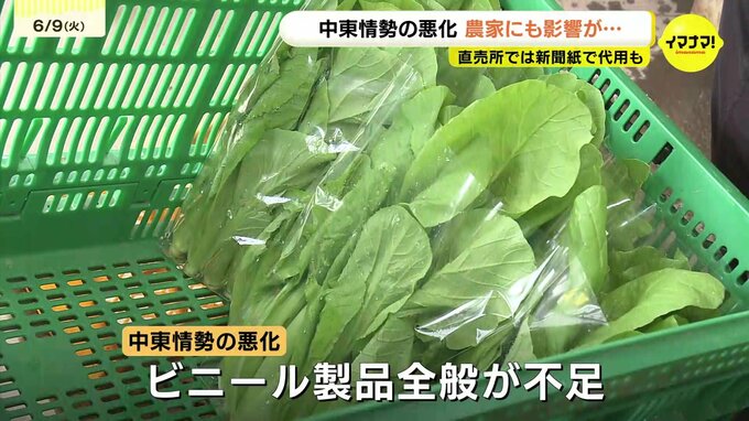 「草との戦い」に加え… 中東情勢が直撃！農家を襲う「資材高騰・品薄」の現実「ミニ広島菜」普及の川内地区農家　|　RCC NEWS | 広島ニュース | RCC中国放送