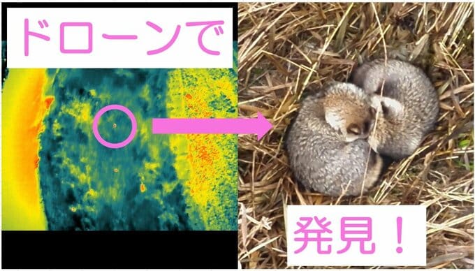 肉眼では困難な捜索に光　温度センサー付きドローンがクマ発見の切り札となるか　実証実験で見えた可能性　岩手|TBS NEWS DIG