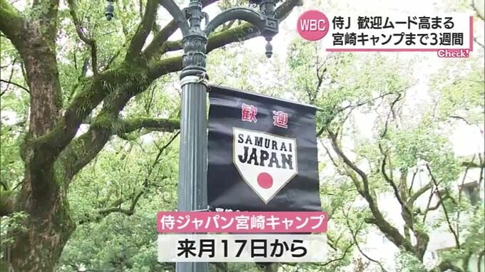 侍ジャパン宮崎キャンプ　フラッグの設置や球場清掃など　高まる宮崎県内の歓迎ムード|TBS NEWS DIG
