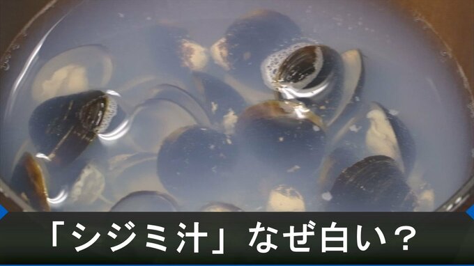 「シジミ汁」なぜ白い？　正体が判明　「おいしさ」とは関係ないことも分かる　|　BSSニュース | BSS山陰放送