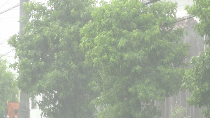 四国地方が梅雨入り　平年より4日遅く 昨年より11日遅い梅雨入り　高松気象台|TBS NEWS DIG