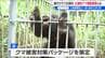 里山に迫るクマの脅威「こんな所にいちゃいけない」　新潟県が“春に100頭”捕獲へ　“目にもとまらぬ速さ”の攻撃から身を守る術　|　新潟のニュース・天気｜BSN NEWS｜BSN新潟放送