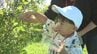 ブルーベリーの摘み取り体験始まる　くじゅう花公園で8月中旬まで　大分　|　大分のニュース｜OBS NEWS｜大分放送