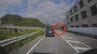 あさの通勤時間・サルが道路に飛び出す　“はなれ猿”か？山口市でサル目撃相次ぐ　|　山口のニュース・天気・防災｜tys NEWS｜ｔｙｓテレビ山口