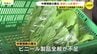 「草との戦い」に加え… 中東情勢が直撃！農家を襲う「資材高騰・品薄」の現実「ミニ広島菜」普及の川内地区農家　|　RCC NEWS | 広島ニュース | RCC中国放送