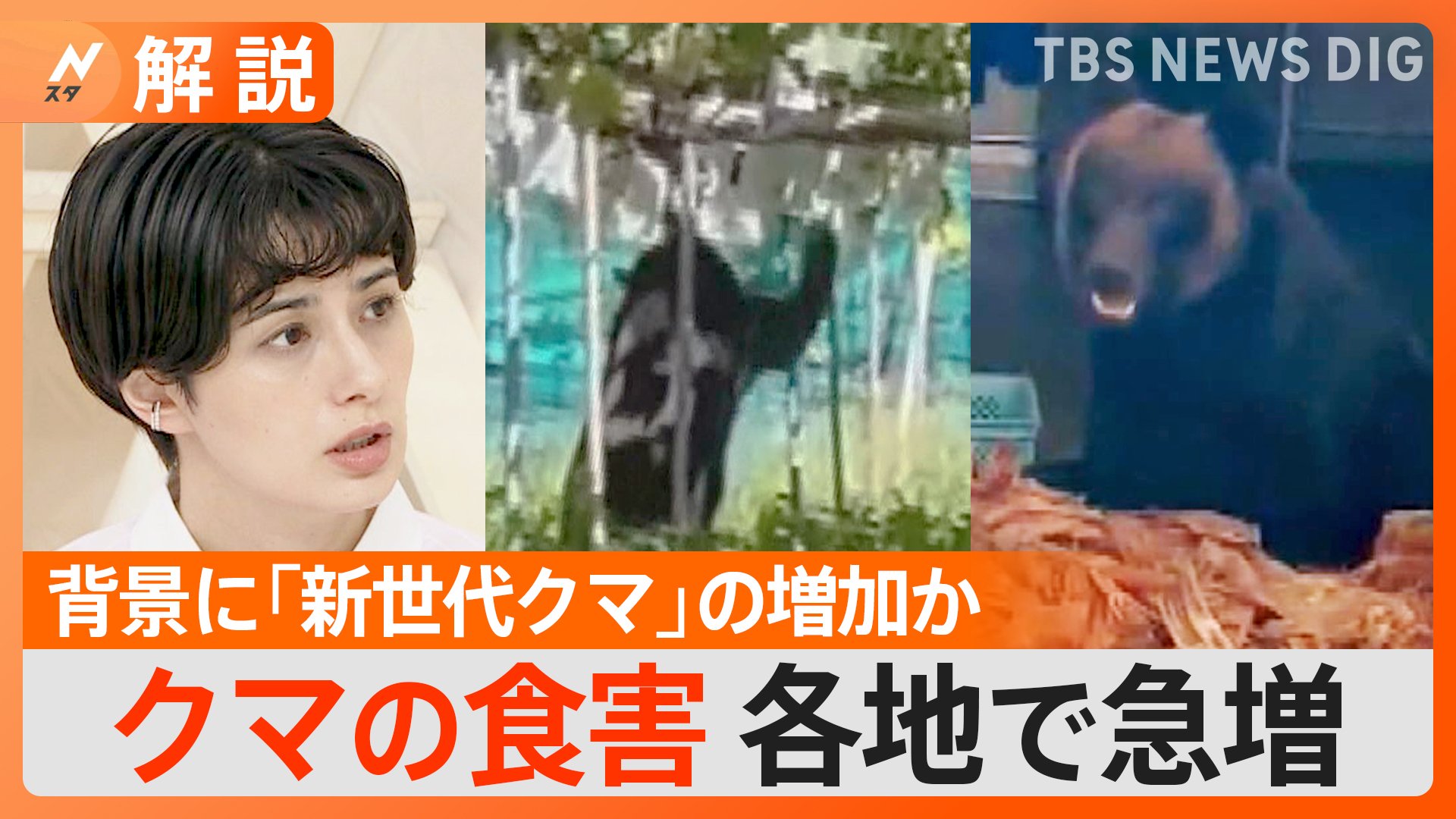 熊が“異常出没”で食害深刻 背景に「新世代クマ」の増加か【Nスタ解説