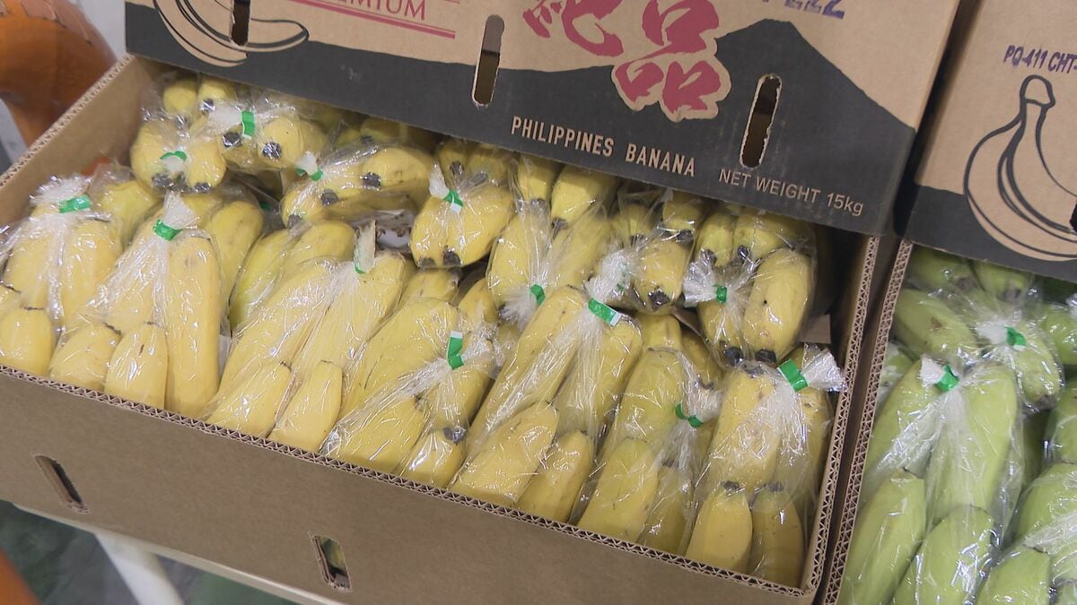 “黄色いバナナ”がピンチ？ナフサ不足で熟成促すエチレンガスが入手困難… ｢企業努力では限界が来る｣