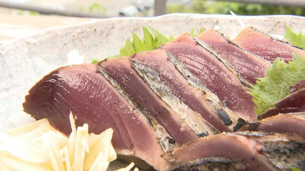２月の水温上昇で“カツオの国”高知県中土佐町が活況！もちもち食感の初ガツオが去年の倍以上の豊漁！