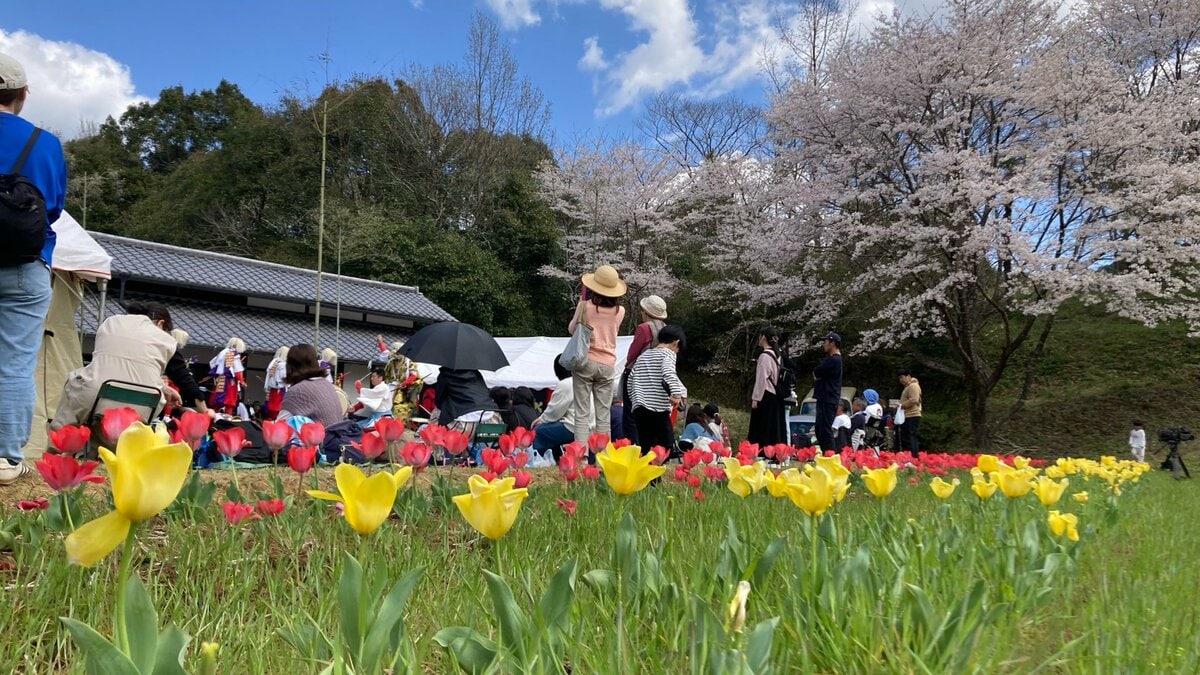 佐伯市宇目　チューリップが見頃