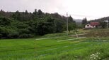男性が田んぼの水路で作業中、クマに襲われけが　へその上を引っかかれ軽傷　付近では20日朝も目撃の情報　岩手・遠野市|TBS NEWS DIG