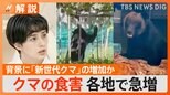 熊が“異常出没”で食害深刻 背景に「新世代クマ」の増加か【Nスタ解説】|TBS NEWS DIG