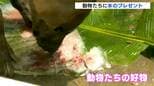 「涼しさをもらえる」動物たちに好物詰まった特製の氷をプレゼント【高知】|TBS NEWS DIG