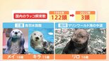 水族館からラッコが消える?国内にわずか3頭 今後は「自然界で見る時代になるかも」【Nスタ】|TBS NEWS DIG