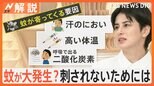 活動開始!早くも蚊が活発、虫よけスプレー 正しい使い方は? 日焼け止め 使う場合はどっちが先?【Nスタ解説】|TBS NEWS DIG