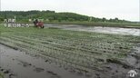 下北・三八上北に「低温注意報」発表 「やませの影響で少し寒い…」田植えをしたばかりの農家にとっても“心配の種” 気温差による体調管理や農作物の管理に注意を 青森県|TBS NEWS DIG