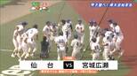夏の高校野球宮城大会・1回戦　仙台高校対宮城広瀬高校　|　宮城のニュース│tbc NEWS│tbc東北放送