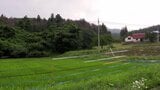 男性が田んぼの水路で作業中、クマに襲われけが　へその上を引っかかれ軽傷　付近では20日朝も目撃の情報　岩手・遠野市　|　IBC NEWS | IBC岩手放送