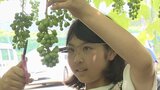 落とすべき粒がメガネ型端末に表示 熟練農家の技をAIが学習 小学生がスマート農業体験 | 山梨のニュース | UTYテレビ山梨