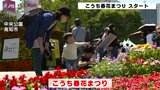 今年は牧野博士イメージ!GW恒例 こうち春花まつりスタート 苗配布も大行列|TBS NEWS DIG