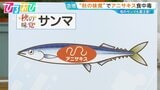 旬のサンマも要注意!「アイスピックで刺されるような激痛」アニサキス食中毒10月に多発【ひるおび】|TBS NEWS DIG