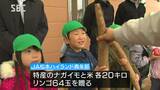 地元の農産物を味わって…保育園にナガイモやリンゴをプレゼント 長野・山形村|TBS NEWS DIG