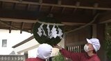 青々とした杉玉が「新酒」の完成告げる 盛岡の酒蔵が出荷開始 “銀河のしずく”使用の純米酒|TBS NEWS DIG