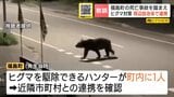 《新聞配達員の男性がヒグマに襲われ死亡》近隣ハンターに協力求めるなどの連携確認　周辺の自治体が今後の対応策　　|　北海道のニュース｜HBC北海道放送