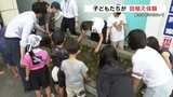「食の大切さ知って」子どもたちが田植え体験　|　熊本のニュース｜RKK NEWS｜RKK熊本放送