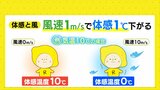 同じ気温でも風が吹くと体感が変わる? 風速と体感の関係|TBS NEWS DIG