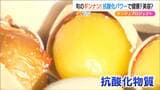 “抗酸化物質”ポリフェノールたっぷり 旬の『ギンナン』を味わおう!「弥彦ギンちゃん」ブランドにも注目 | 新潟のニュース・天気|BSN NEWS|BSN新潟放送