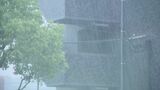 九州北部地方で激しい雨・・・北九州市の小中学校など臨時休校 | 福岡のニュース|RKB NEWS|RKB毎日放送