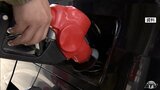 『ガソリン補助金』でレギュラー軒並み170円台なかには160円台も… 消費者からは「まだ幾分高い」「150円台くらいまで下がってくれれば」本音が |TBS NEWS DIG