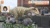 50万人の観光客が来訪!ホランキャスターのルーツ「アイルランド」最大のお祭り 「ホランさん」を会場で発見!?【すたすた中継】|TBS NEWS DIG