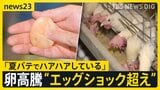 猛暑でニワトリも夏バテ「エッグショック超え」タマゴ高騰 エサ食べる量が減り“ブヨブヨの卵” 韓国では暑さで家畜100万頭以上が死ぬ【news23】|TBS NEWS DIG