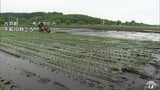 下北・三八上北に「低温注意報」発表　「やませの影響で少し寒い…」田植えをしたばかりの農家にとっても“心配の種”　気温差による体調管理や農作物の管理に注意を　青森県　|　青森のニュース│ATV NEWS│青森テレビ