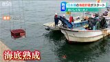 半年後には「まろやか」に…日本酒やコメの『海底貯蔵』ビジネス 総合物流業者の初めての試み 新潟県|TBS NEWS DIG