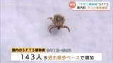 マダニ感染症「SFTS」富山で飼い猫から検出 ペットの体調変化に警戒 | 富山のニュース|天気・防災|チューリップテレビ