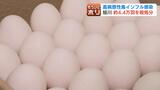 “エッグショック”再来への懸念 北海道では鶏4万4000羽の殺処分着手も価格への影響は限定的か…全国では過去最多ペースで価格上昇リスクも | 北海道のニュース|HBC北海道放送