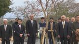 大分大学経済学部の同窓会「四極会」 100周年で桜の木を記念植樹 | 大分のニュース|OBS NEWS|大分放送