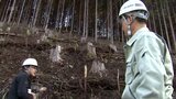 再造林率日本一目指し　椎葉村の現場を河野知事が視察　|　MRTニュース ｜ ＭＲＴ宮崎放送