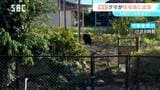 飯田市の住宅地にクマ出没 体長約1メートルの成獣か 5件の目撃情報【クマの画像あり】付近の住民に注意呼びかけ | SBC NEWS | 長野のニュース | SBC信越放送