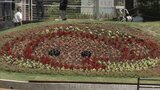 福岡市動物園に「ゾウの花壇」 7月ミャンマーからゾウの到着前に | 福岡のニュース|RKB NEWS|RKB毎日放送