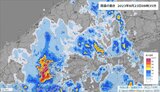 【広島県東部に一時大雨警報】 県西部にも発達した雨雲流入 局地的に非常に激しい雨を観測 昼頃まで浸水に警戒|TBS NEWS DIG